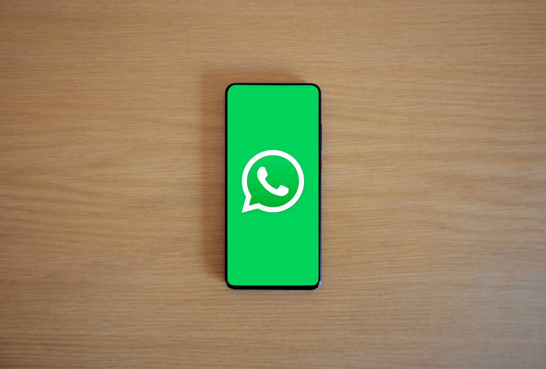 5 passos para criar um bot de WhatsApp dentro das regras